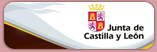  de Castilla y León